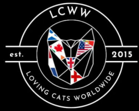 LCWW Banner