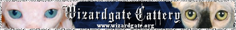 Banner SM