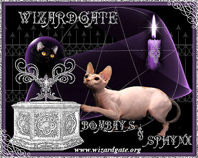 Wizardgate