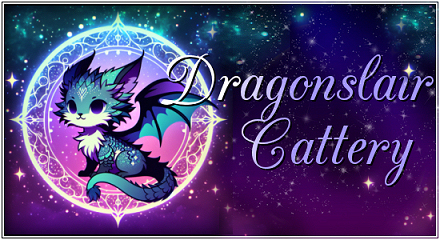 Dragonslair Banner